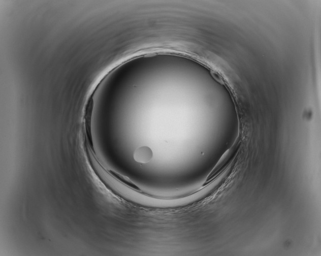 X0000098151524200804171600