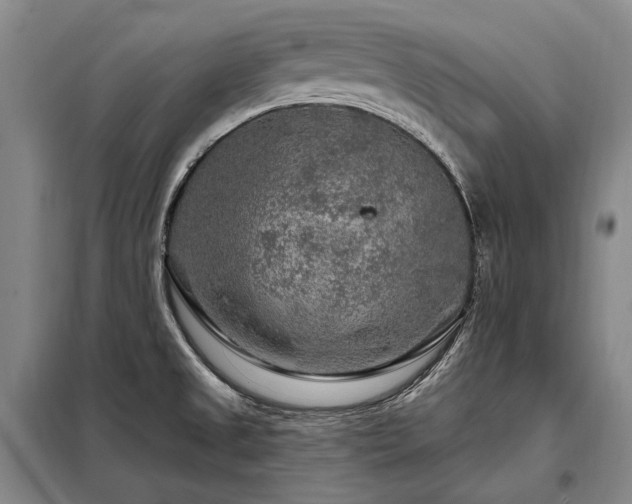 X0000098151525200804171600