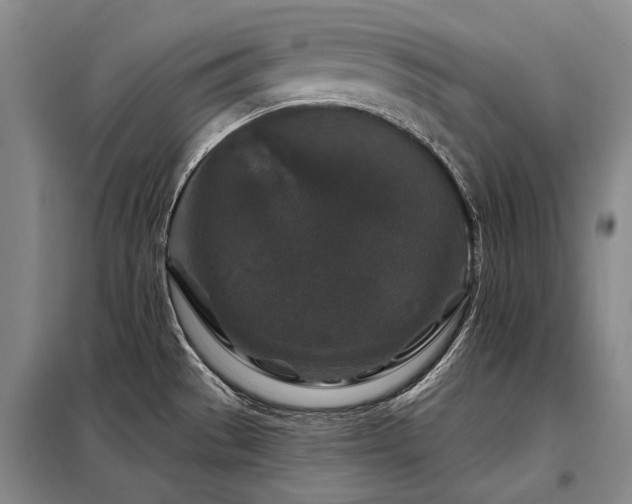 X0000098151529200804171600