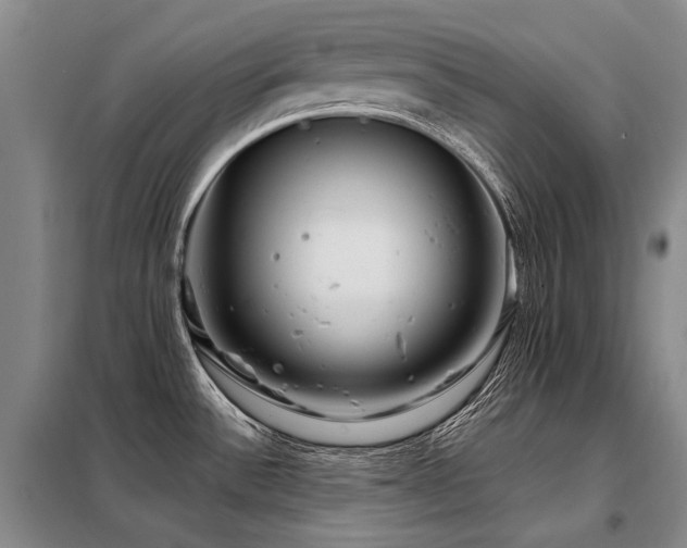 X0000098151532200804171600