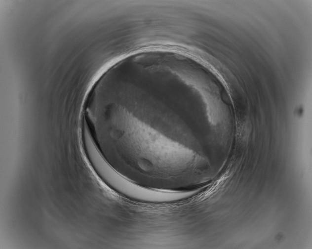 X0000098151533200804171600