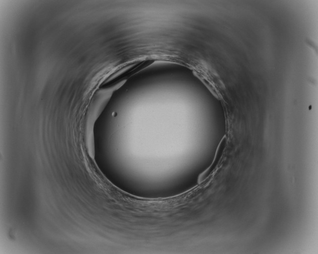 X0000098150001200804241751