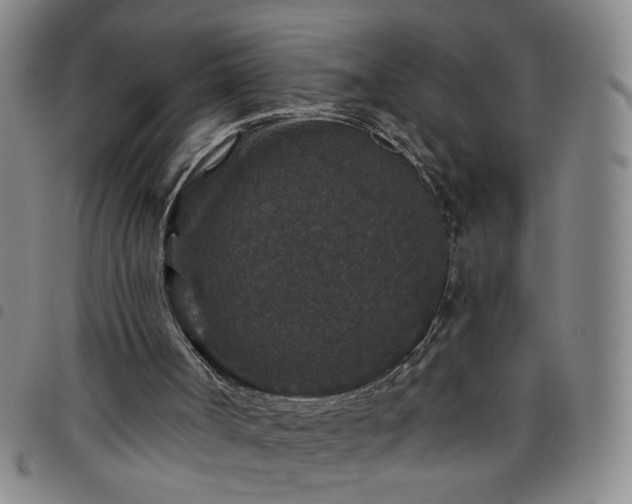 X0000098150002200804241751