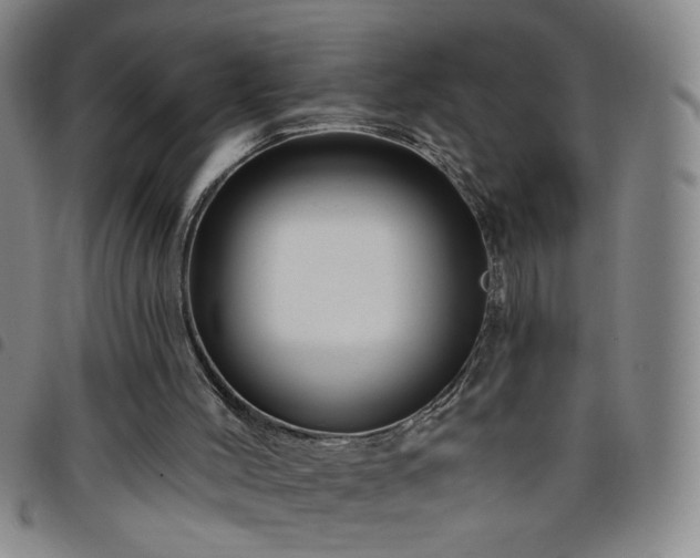X0000098150004200804241751