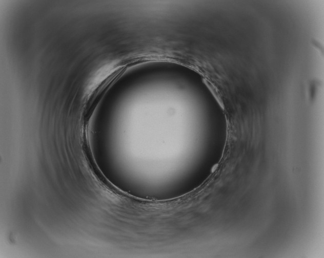 X0000098150005200804241751