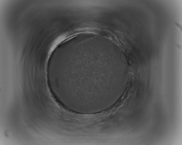 X0000098150006200804241751