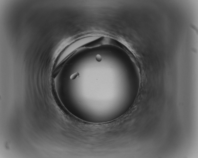 X0000098150007200804241751