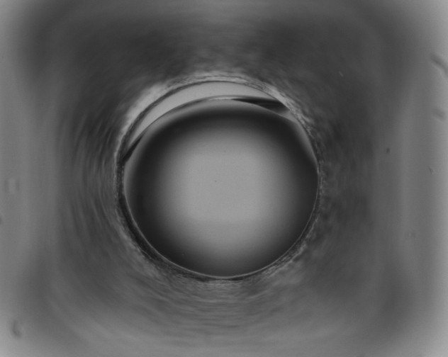 X0000098150008200804241751