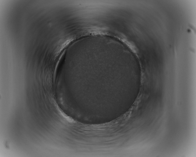 X0000098150009200804241751