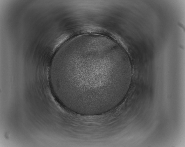 X0000098150010200804241751