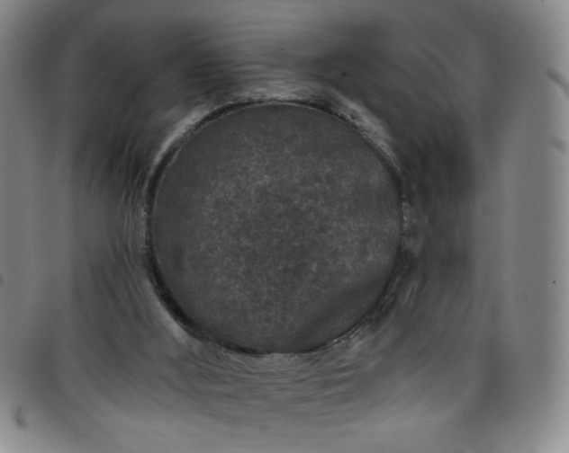 X0000098150012200804241751