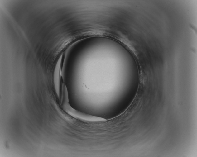 X0000098150013200804241751