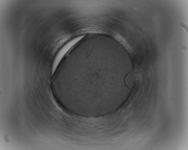 X0000098150014200804241751