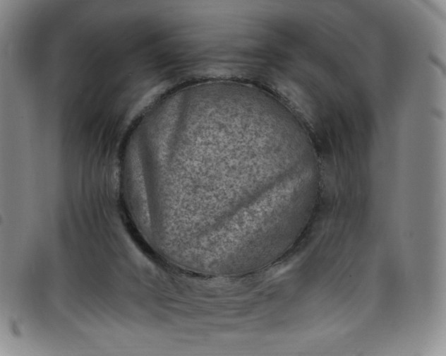 X0000098150016200804241751