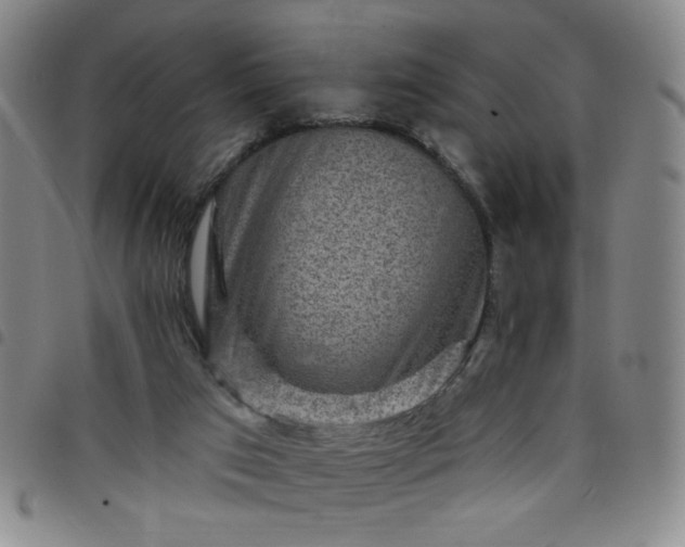 X0000098150017200804241751