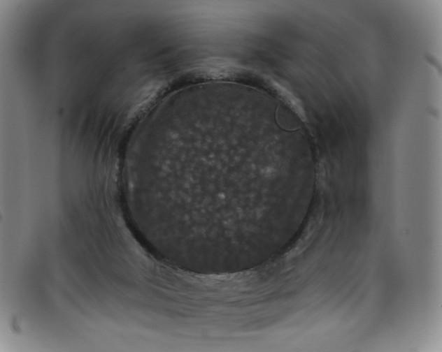 X0000098150018200804241751