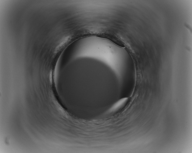 X0000098150019200804241751