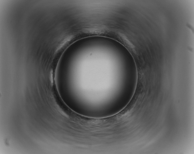 X0000098150020200804241751