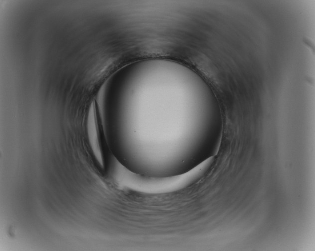 X0000098150021200804241750