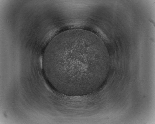 X0000098150022200804241750