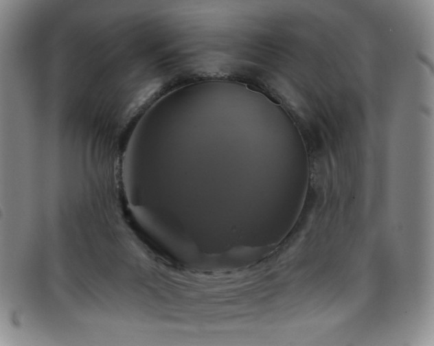 X0000098150023200804241750