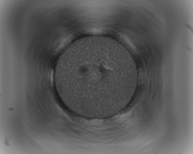 X0000098150024200804241750