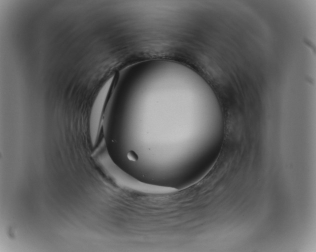 X0000098150025200804241750