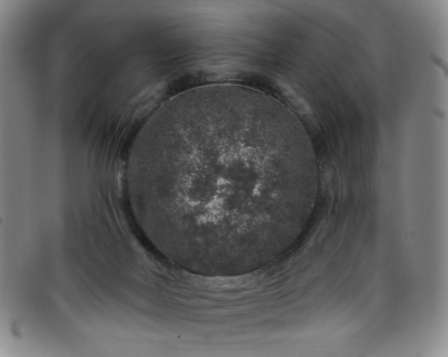 X0000098150026200804241750