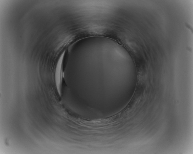 X0000098150027200804241750