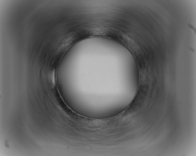 X0000098150028200804241750