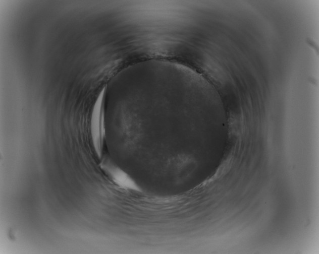 X0000098150029200804241750