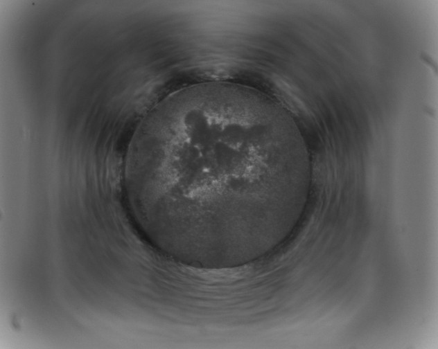 X0000098150030200804241750