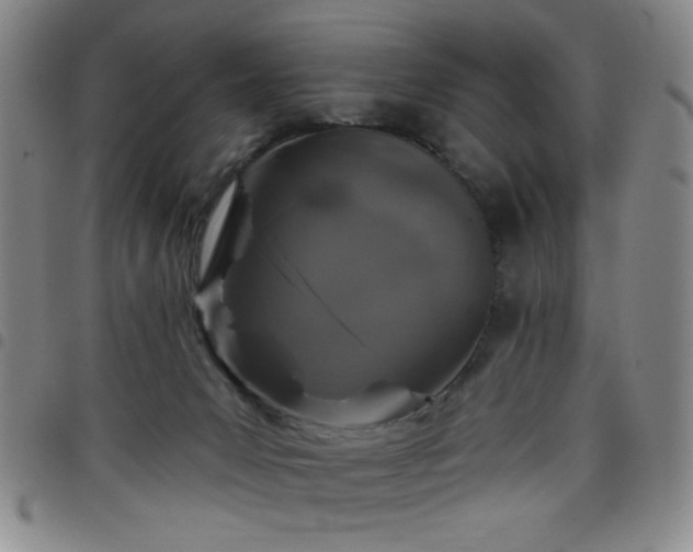 X0000098150031200804241750
