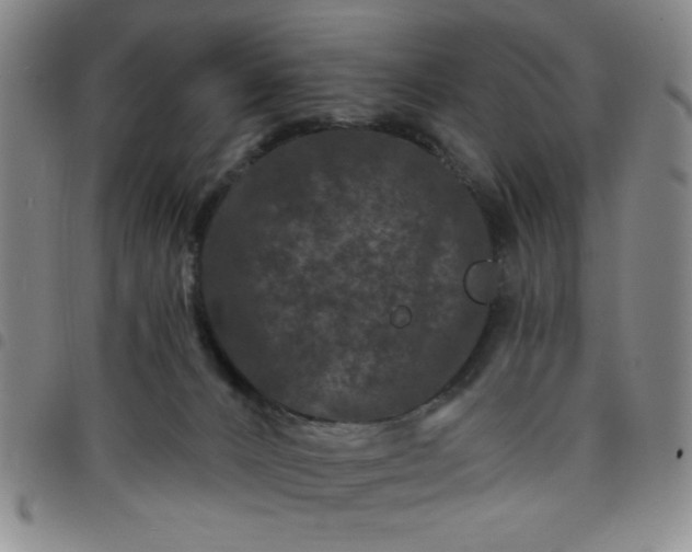 X0000098150032200804241750