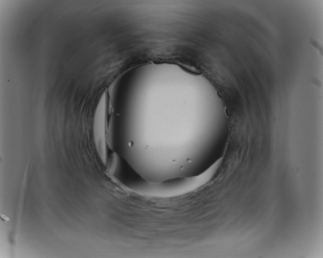 X0000098150033200804241750