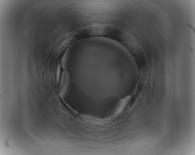 X0000098150035200804241750