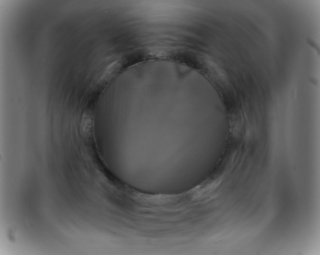 X0000098150036200804241750