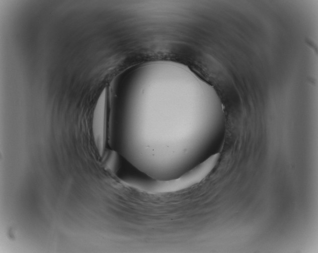 X0000098150037200804241750