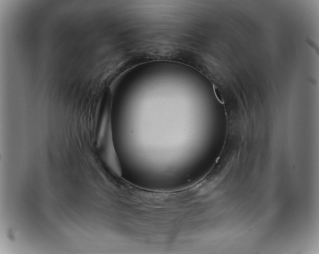X0000098150040200804241750