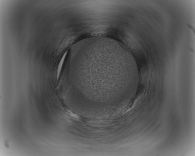 X0000098150041200804241750
