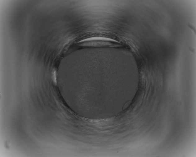 X0000098150042200804241750