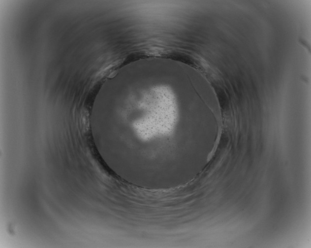 X0000098150043200804241750
