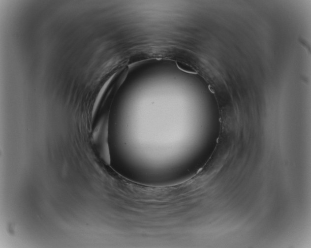X0000098150044200804241750
