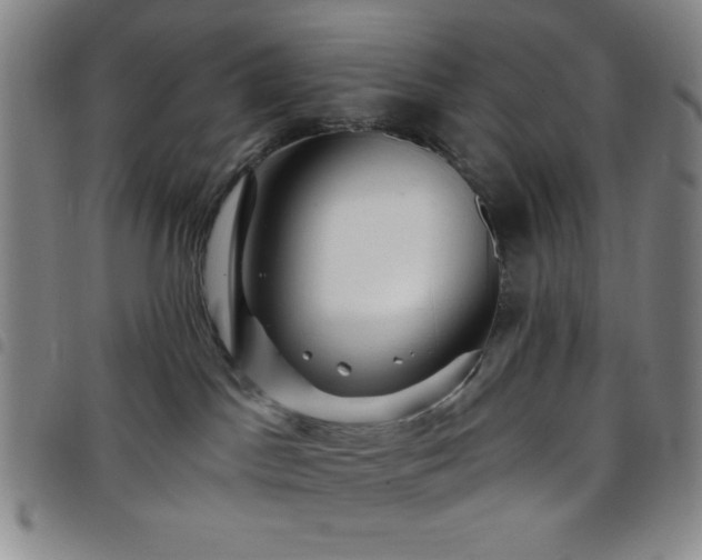 X0000098150045200804241750
