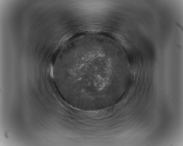 X0000098150046200804241750