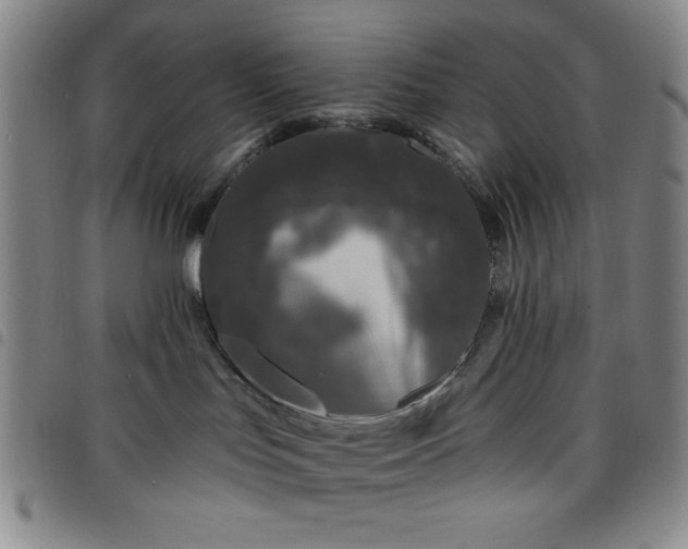 X0000098150047200804241750