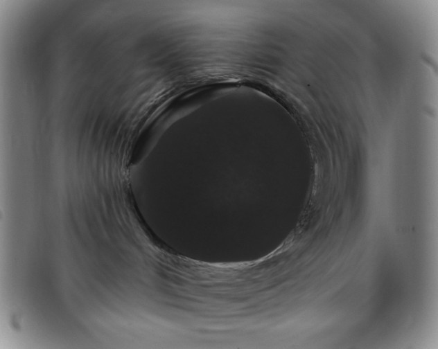 X0000098150048200804241750