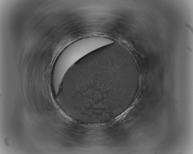 X0000098150049200804241749