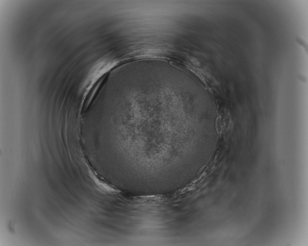 X0000098150050200804241749