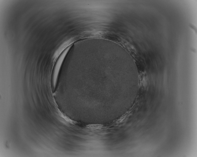 X0000098150051200804241749